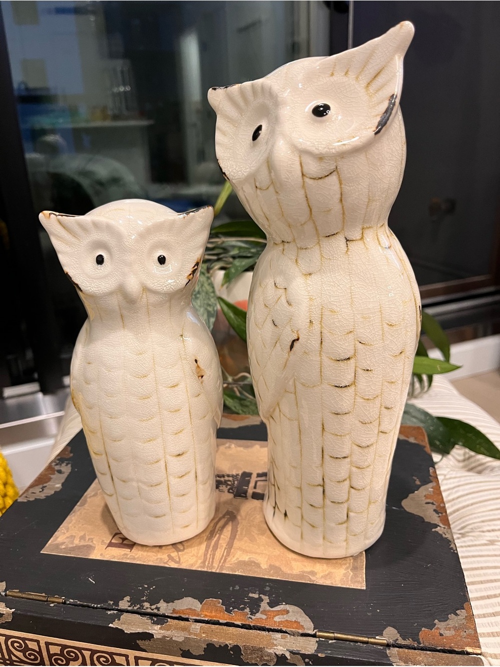 Cutest Owl ceramic pair with intentional crazed glaze finish. Studio ceramics